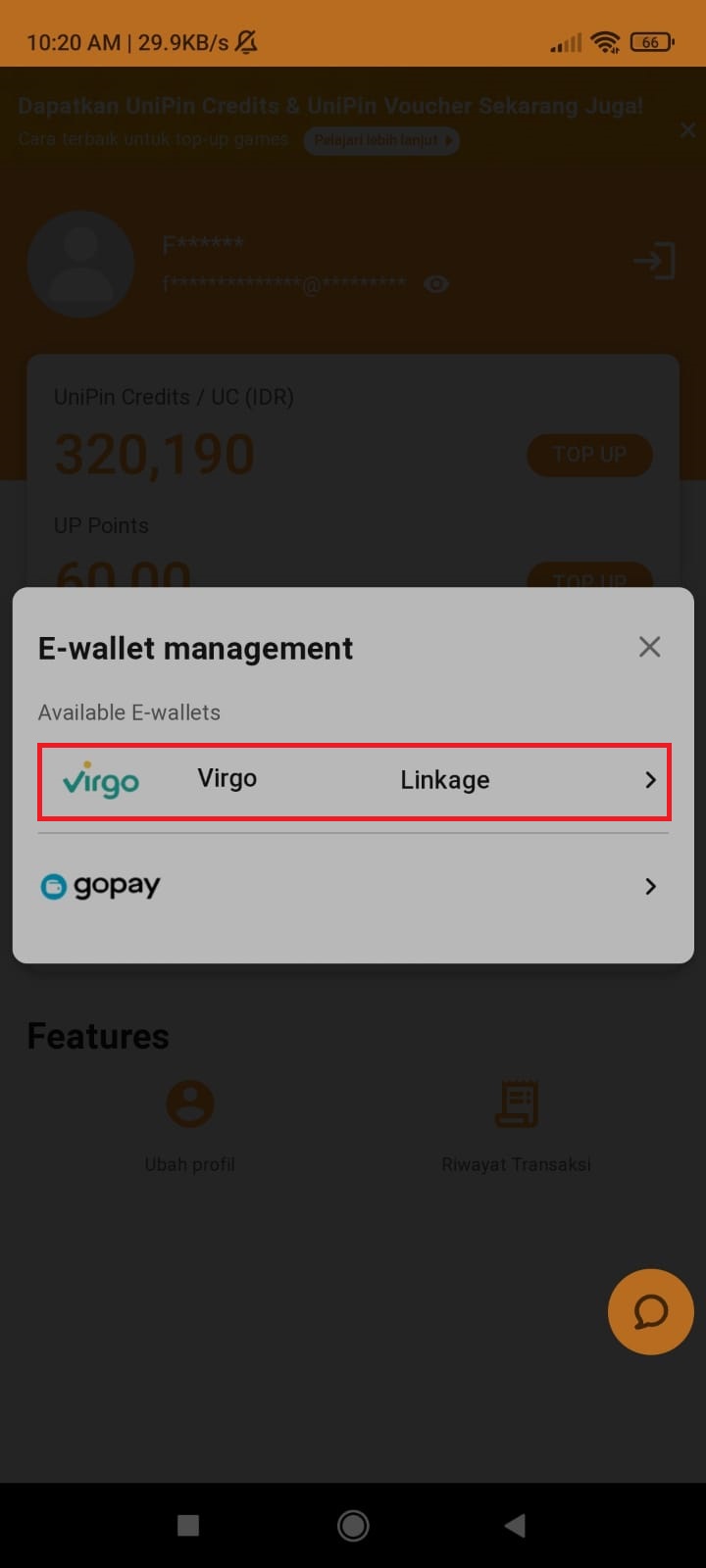 req_virgo5.jpeg